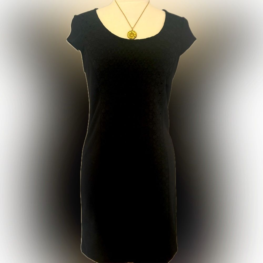 Timeless! Stitchfix black Kensie detailed dress!